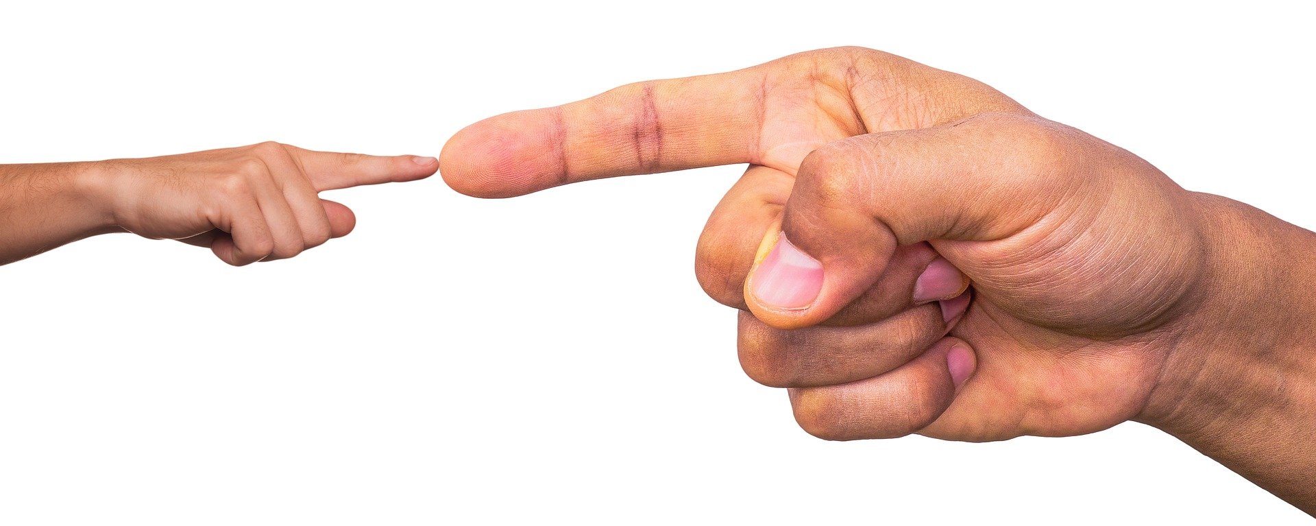The Survival Art of Counter-Digital-Disruption